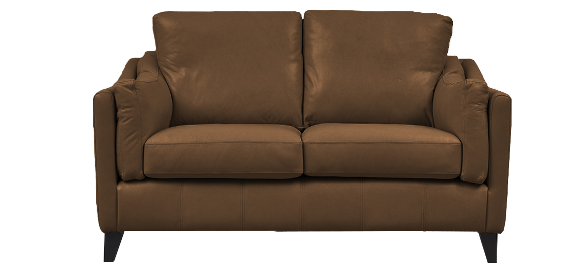Hudson 2 Seater Leather Sofa
