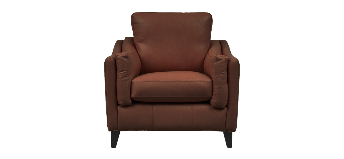 Hudson Leather Armchair