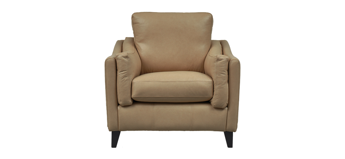 Hudson Leather Armchair