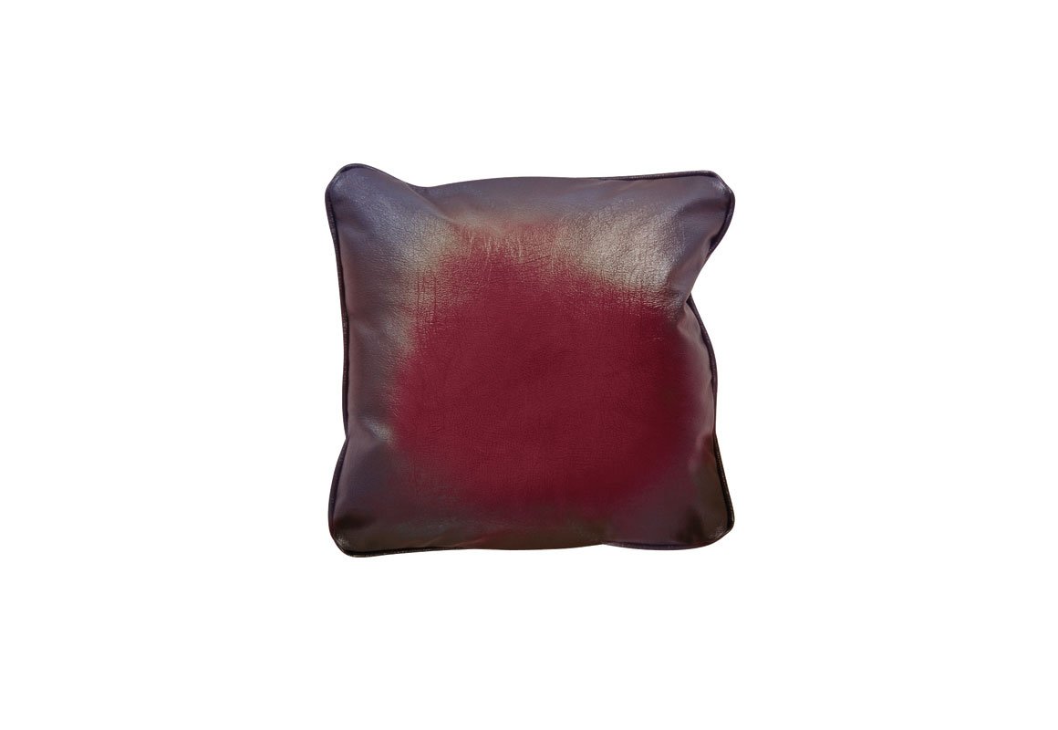 Senator Leather Scatter Cushion