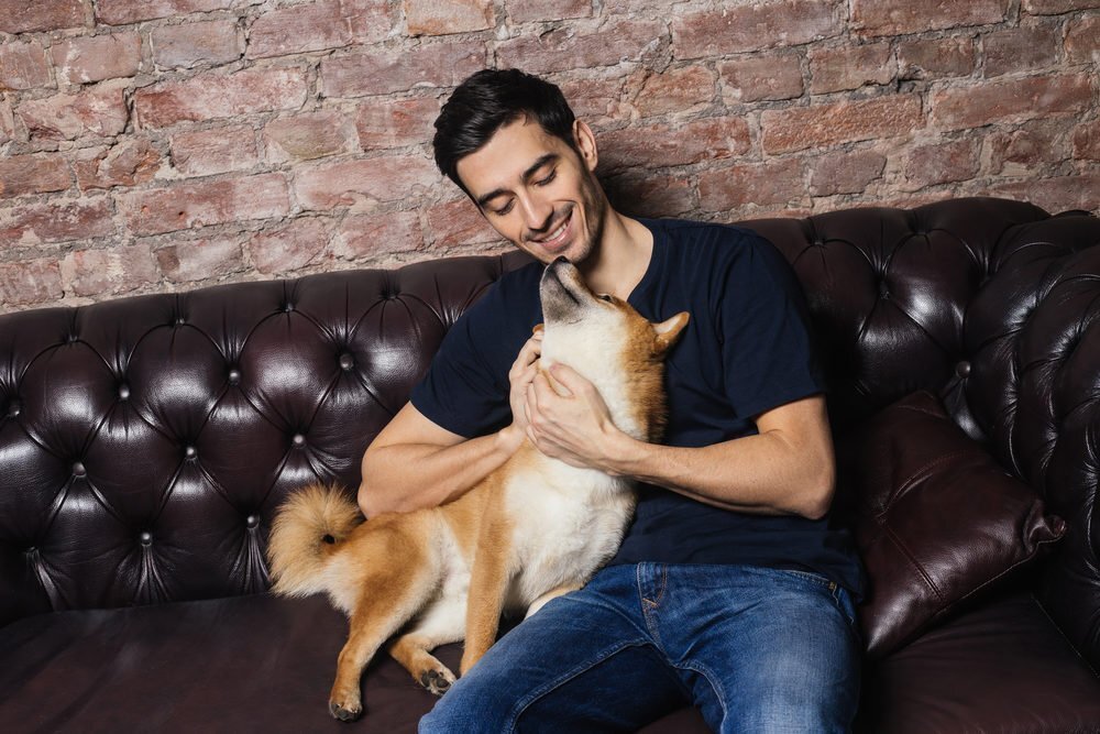 dog leather couch